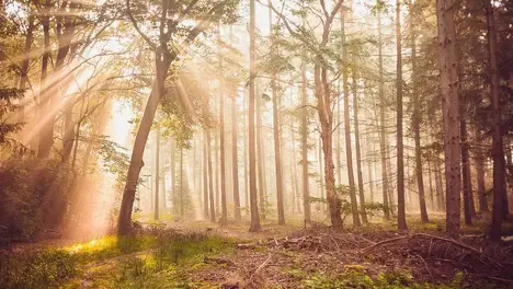 2025LPL夏季赛骑士之路激战：EDG对阵AL关键战，JDG与TES强强对话引爆季后赛席位争夺